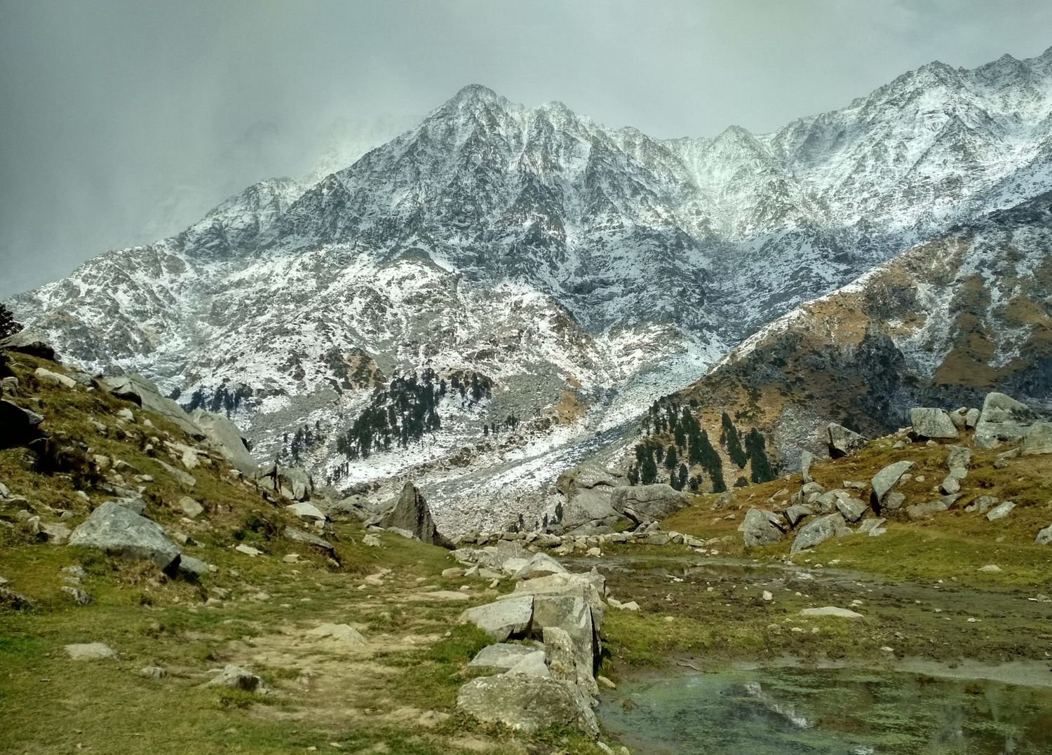 Triund Trek